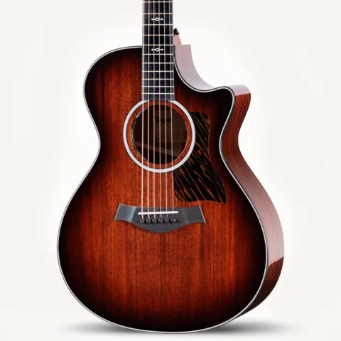 300 Series アコースティックギター | Taylor Guitars